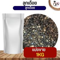 ราคา ลูกเดือย Thai millet อาหารนก กระต่าย หนู กระต่าย กระรอก ชูก้า และสัตว์ฟันแทะ แบ่งขาย 250G 500G 1KG (19768534733)