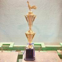 ราคา ถ้วยรางวัลไก่แจ้ ถ้วยรางวัลไก่ชน แตร หงส์ สวย ดูดี มีหลายขนาด สั่ง 3 ใบขึ้นไป ทำป้ายให้ฟรี แจ้งทางแชทครับ (19327802722)