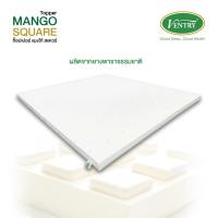 ราคา Ventry Topper Mango ท็อปเปอร์ รุ่น แมงโก้ สเปคนุ่มแน่น หนา 3 นิ้ว (767310691)