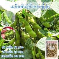ราคา เมล็ดพันธุ์ ถั่วแระญี่ปุ่น หอมกลิ่นใบเตย เมล็ดพันธุ์ถั่วเเระญี่ปุ่น 130 เมล็ด 10 แถม 1 คละได้ (10600770167)