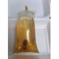 ราคา แม่พันธุ์ไรแดงaxdr สายพันธุ์มาโคโครปา Macorcopa ไรแดงพ่อแม่พันธุ์ (20393370166)