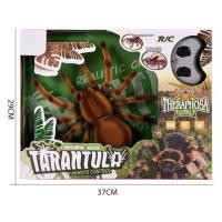 ราคา แมงมุมบังคับ tarantura (12475798797)