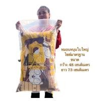 ราคา หมอนหนุน หมอนหนุนใบใหญ่ หมอนมาตรฐาน 1 ใบ (20745086608)