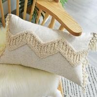 ราคา 30x50cm 45x45cm European Style Fringed Suede Pillowcase Bohemian Style Ring Velvet Pillowcase Modern Minimalist Straight Couch Waist PillowCover (20015537654)