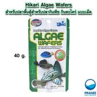 ราคา Hikari Algae Wafers สำหรับปลาพื้นตู้สำหรับปลากินพืช กินตะไคร่ แบบเม็ดจม 40 82g (17997925807)