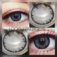 ราคา Icy สีเทา ตาโต ลายฮิต ฝาแฝด Shimmer wink (18670545549)