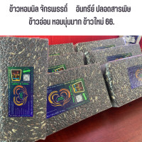 ราคา ข้าวหอมนิล ปลอดสารเคมี ข้าวหอมนิลอุดมไปด้วยสารอาหารที่จำเป็นต่อร่างกายมากมายได้แก่ คาร์โบไฮเดรต โปรตีน วิตามินอี วิตามิน (16288140218)