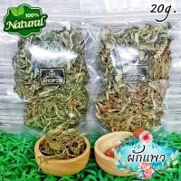 ราคา ผักอบแห้ง ผักแพว ผักไผ่ ผักแพวอบแห้ง ขนาด 20 กรัม Dried Vietnamese Coriander Leaves (17027022938)