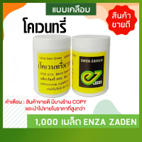 ราคา เมล็ดพันธุ์ผักสลัดมินิคอสโคเวนทรี่ Mini Cos Coventry ชนิดเคลือบ 1000 เมล็ด ยี่ห้อ Enza Zaden จากประเทศเนเธอร์แลนด์ by hydroponicgroup (19605242632)