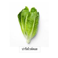 ราคา เมล็ดพันธุ์ ผักสลัด ชุดเมล็ดพันธุ์ผักสลัด ถูกที่สุด มีคู่มือการปลูก กรีนโอ๊ค เรดโอ๊ค กรีนคอส เรดคอส เรดคอรอล ฟิลเลย์ บัตเตอร์เฮด (18900965441)