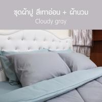 ราคา SANTA ชุด ผ้าปูที่นอน ผ้านวม ผ้าห่ม สีเทาอ่อน สีเขียว 3 5 5 6 ฟุต (5602994462)
