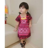 ราคา 0 9 Y ชุดเด็กดอยเด็กผ้าฝ้ายพิมพ์ผ้าปักชาวเขา เดรสเด็ก (16004072584)