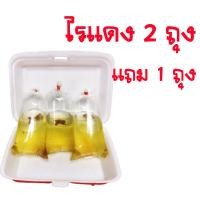 ราคา ไรแดงมาโคโครปาพ่อแม่พันธุ์ ไรแดง พันธุ์ไรแดง พ่อแม่พันไรแดง มาโคร สายพันธุ์มาโคโครปา Macorcopa (17436610539)