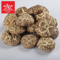 ราคา เห็ดหอมญี่ปุ่นอย่างดี ขนาด 200 กรัมAAAAA6香菇เห็ด (19471449460)