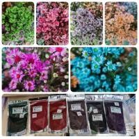 ราคา สีย้อมดอกไม้สด ผงสีย้อมดอกไม้สด สีดูดย้อมดอกไม้สด สีสวย (19409455258)