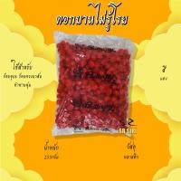 ราคา ดอกบานไม่รู้โรย บานไม่รู้โรย บานไม่รู้โรยพลาสติก บานไม่รู้โรยปลอม ตราผีเสื้อ (14266658255)