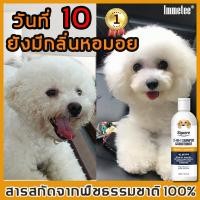 ราคา Immetee น้ำยาอาบน้ำหมา 300ml สารสกัดจากพืชธรรมชาติ 100 ฆ่าเชื้อและกำจัดไร ดับกลิ่นเพิ่มกลิ่นหอม แชมพูเชื้อราแมว แชมพูสัตว์เลี้ยง แชมพูหมา ยาสระผมหมา แชมพูสุนัข แชมพูอาบน้ำสุนัข แชมพูอาบน้ำหมา แชมพูอาบ