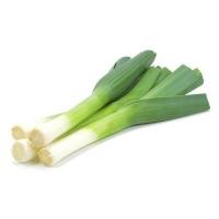 ราคา กระเทียมต้นฝรั่ง กระเทียมต้นยักษ์ 40 100 เมล็ด Leek เมล็ดกระเทียมต้น เมล็ดพันธุ์ ซื้อ 10 แถม 1 คละได้ (17059131446)
