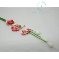 ราคา ช่อดอกยิปโซกระดาษสา ดอกยิปโซ ดอกยิปโซจิ๋ว ช่อดอกยิปโซ ดอกไม้กระดาษสา ดอกไม้จิ๋ว ดอกไม้กระดาษสาจิ๋ว ของจิ๋ว ของตกแต่ง (17445074164)