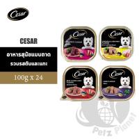 ราคา Cesar ซีซาร์ อาหารสุนัข รสตับบดเนื้อไก่และตับบดเนื้อวัวและตับเนื้อแกะ ขนาด100กรัม x 24 ถาด 1กล่อง (20364023955)