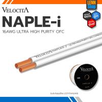 ราคา VELOCITA NAPLES i สายลำโพง ทองแดง Ultra High Purity OFC ความบริสุทธ์สูง ความยาว ตั้งแต่ 1 100 เมตร สินค้าของแท้ 100 LENNSHOP (1112362713)
