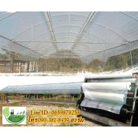 ราคา พลาสติก150 ไมครอน หน้ากว้าง 2 2 5 เเละ 3 เมตร ความยาว 10 20 เมตร สีใส พลาสติกโรงเรือน Green House UV 7 คลุมหลังคา ปูบ่อ กันสาด พลาสติกโรงเรือน พลาสติก (16124974300)