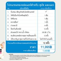 ราคา E voucher Thonglor Cares for Dogs and Cats โรงพยาบาลสัตว์ทองหล่อ โปรแกรมทองหล่อแคร์ ดูแลสุขภาพสัตว์เลี้ยง สำหรับสุนัขและแมว (15659932996)