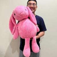 ราคา ตุ๊กตากระต่ายหูยาว L ขนาด 30 นิ้ว ขนฟู (20623519778)