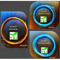 ราคา ชุดสายจะเข้ ประกอบด้วย สายลวด สายเอก สายทุ้ม เลือกซื้อได้ ราคาพิเศษคืนกำไรให้ลูกค้า 1 31 ธค 64 เท่านั้น (6340108544)