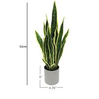 ราคา Artificial Snake Plant Fake Sansevieria Perfect Faux Plants for Home Garden Office Store Decoration (19610744469)
