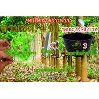 ราคา เซ็ตครบชุด 200 ชุด กับชุดเปิดกรีดยางพารารวม 4 ชิ้น ช้อน ลิ้นรับน้ำยาง ลวดรัดต้นยางพารา ลวดรับถ้วยน้ำยาง ถ้วยรับน้ำยางราคาถูก (21129131412)