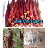 ราคา เมล็ดกระเจี๊ยบมอญแดง กระเจี๊ยบมอญแดง ซื้อ 10 แถม 1 คละ อย่างได้ (7112014912)