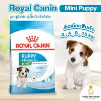 ราคา Royal Canin Mini Puppy อาหารหมา อาหารลูกหมา อาหารสุนัข อาหารเม็ด อาหารสัตว์เลี้ยง อาหารลูกสุนัขพันธุ์เล็ก แบ่งขาย พร้อมส่ง (18711366907)