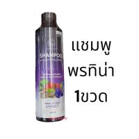 ราคา แชมพูพรทิน่า PONTINA SHAMPOO ครีมนวดCONDITIONER เซรั่ม HAIR SERUM ลดผมร่วง เร่งเกิดใหม่ เร่งผมยาวเร็ว (20995174415)