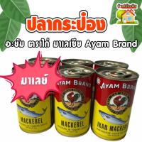 ราคา ปลากระป๋อง อะยัม ตราไก่ มาเลเซีย Ayam Brand (20534074027)