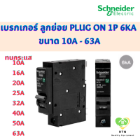 ราคา Schneider เบรกเกอร์ ลูกย่อย MCB Plug On 1P 6kA ขนาด 10A 16A 20A 25A 32A 40A 50A 63A รุ่น QO1VSC6T Square D ชไนเดอร์ (19117736796)