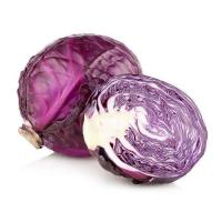 ราคา เมล็ดพันธุ์ กะหล่ำปลีม่วง 120 เมล็ด Purple cabbage กะหล่ำปลี พิเศษ คัดมือ งอก 90 10 แถม 1 คละได้ (8797695262)