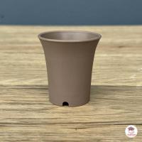 ราคา 10 ใบ กระถาง 2 นิ้ว ปากแตรจิ๋ว กระถางพลาสติก แคคตัส กระบองเพชร ไม้อวบน้ำ Cactus Succulent (6279060391)