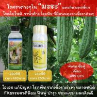 ราคา มะระ ยารักษาโรคราน้ำค้างมะระจีน มะระต่างๆ โรคราต่างๆ ใช้ ไอเอส FKธรรมชาตินิยม (10301820892)