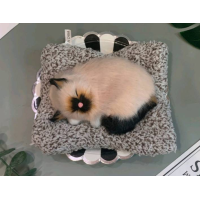 ราคา ตุ๊กตาดูดกลิ่น ตุ๊กตาหมาดับกลิ่น ตุ๊กตาดับกลิ่น ตุ๊กตาแมวดับกลิ่น ตุ๊กตาดูดกลิ่นในรถ ตุ๊กตาแมว ตุ๊กตาหมา ตุ๊กตาน้องหมา มีเสียง (16952742049)