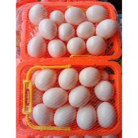 ราคา ของเล่นเด็ก ไข่พลาสติก ไข่ไก่ตระกร้า ไข่ปลอม22ฟอง เท่าขนาดไข่ของจริง (11876016798)