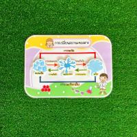 ราคา สื่อการสอนวัฏจักรน้ำ และ การเปลี่ยนสถานะของสาร สื่อการสอนวิทยาศาสตร์ สื่อการสอนทำมือ (19948125983)