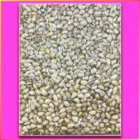 ราคา ขายส่ง แบบดิบ อัลมอนด์ 10 กก Wholesale Raw Almond 10 kg Raisins ลูกเกด เม็ดมะม่วงหิมพานต์ เมล็ดฟักทอง พิสตาชิโอ เมล็ดทานตะวัน Cashew Nuts Pumpkin Pistachios Sunflower (19806885300)