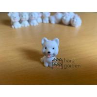 ราคา ตุ๊กตาจิ๋ว เรซิ่น แต่งสวน สวนถาด อุปกรณ์จัดสวน น้องหมาขาว หมาสีขาว สุนัขสีขาว น้องหมานั่งหน้าดำ ราคา ชิ้น (7106476164)