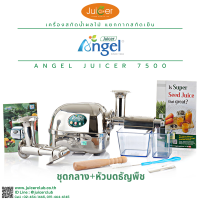ราคา เครื่องคั้นน้ำผักผลไม้แยกกากชนิดสกัดเย็น Angel Juicer ให้คุณภาพน้ำที่สกัดออกมาดีที่สุด กากแห้งที่สุด สกัดวิตามินและเอนไซม์ได้มากที่สุด (10453902524)