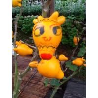 ราคา เมล็ดมะเขือการ์ตูน ขายเมล็ดมะเขือการ์ตูนบรรจุซอง50เมล็ด (10020799632)