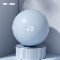 ราคา amyup yoga ball ลูกบอลโยคะ 65 cm ออกกำลังกาย อุปกรณ์โยคะ ลูกบอลโยคะ ลูกบอลโยคะใหญ่ โยคะ ลูกบอลออกกำกาย ลูกบอลยางเด้งๆ (19841265415)