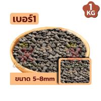 ราคา หินมังกร หินจัดสวน หินจัดสวนถาด หินตกแต่งตู้ปลา ขนาด 1 Kg (18053981204)