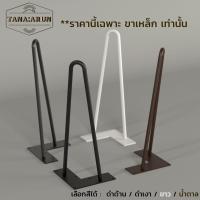ราคา Tana DIY ขาโต๊ะเหล็ก รุ่น 2curve30 ความสูง 30 cm 1 ขา ทำขาเก้าอี้ ขาโต๊ะวางของ ขาโต๊ะโชว์ modern loft minimal (18692759900)
