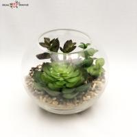 ราคา สวนโหลแก้ว ต้นไม้ปลอมมินิมอล กระถางแคคตัสปลอม (2736070959)